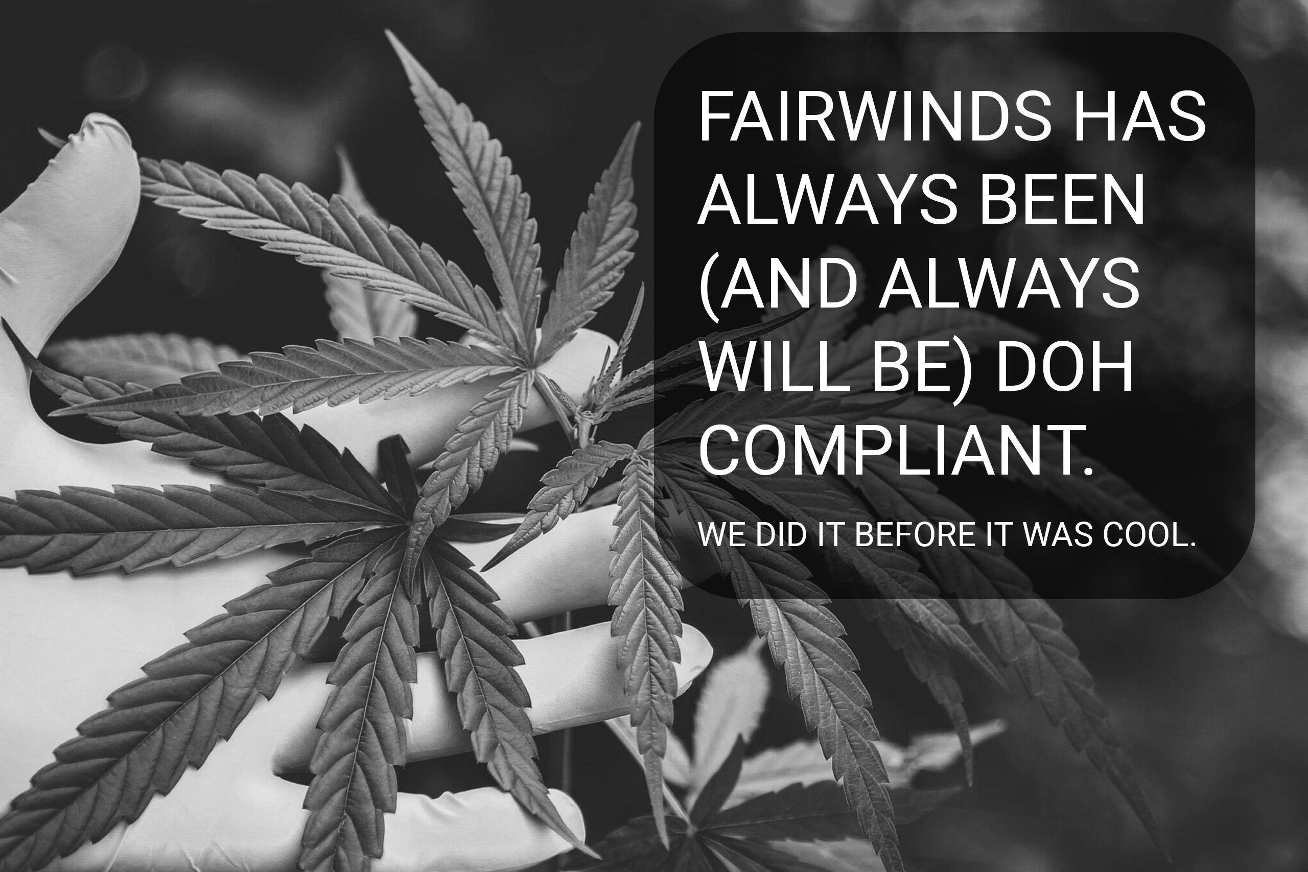 Fairwinds, Department of Health, Cannabis, Washington, Washington State, Washington state cannabis, DOH compliance, DOH Compliant, medical patient, patient